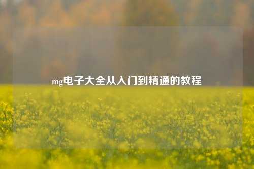 mg电子大全从入门到精通的教程