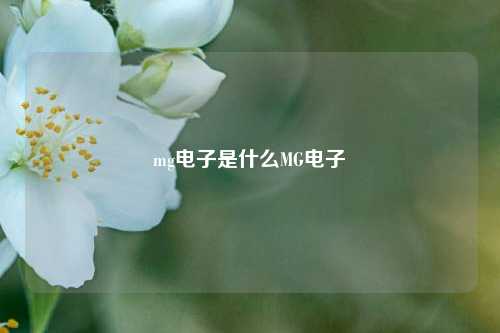 mg电子是什么MG电子