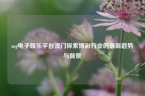 mg电子娱乐平台澳门探索博彩行业的最新趋势与前景