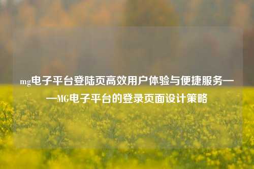 mg电子平台登陆页高效用户体验与便捷服务——MG电子平台的登录页面设计策略