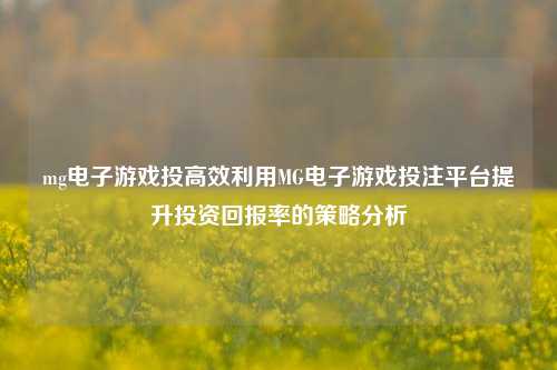 mg电子游戏投高效利用MG电子游戏投注平台提升投资回报率的策略分析