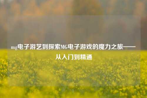 mg电子游艺到探索MG电子游戏的魔力之旅——从入门到精通
