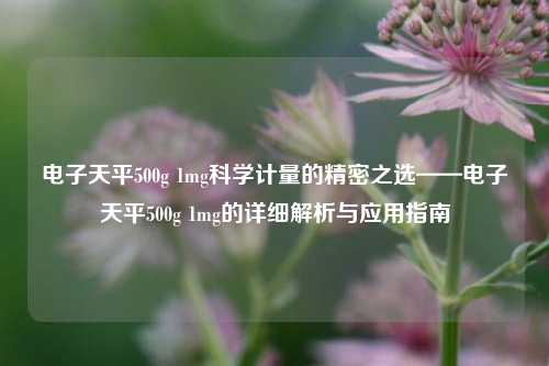 电子天平500g 1mg科学计量的精密之选——电子天平500g 1mg的详细解析与应用指南