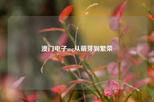 澳门电子mg从萌芽到繁荣