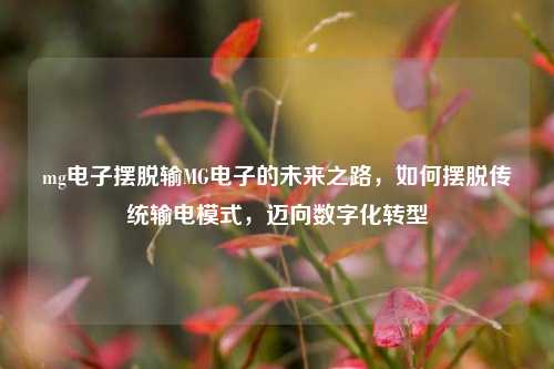 mg电子摆脱输MG电子的未来之路，如何摆脱传统输电模式，迈向数字化转型