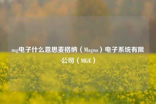mg电子什么意思麦格纳（Magna）电子系统有限公司（MGE）
