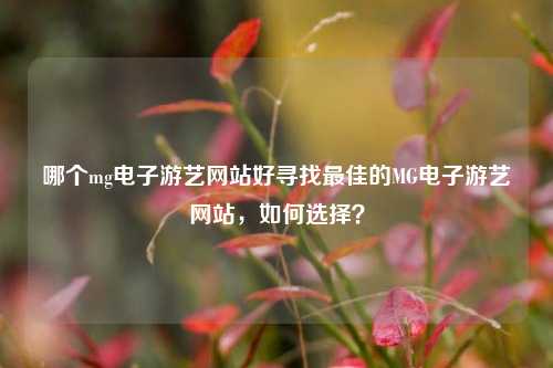 哪个mg电子游艺网站好寻找最佳的MG电子游艺网站，如何选择？