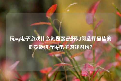 玩mg电子游戏什么浏览器最好如何选择最佳的浏览器进行Mg电子游戏游玩？