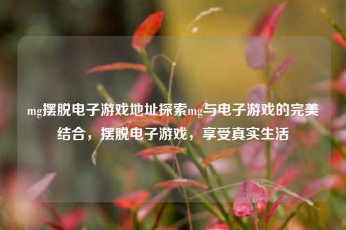 mg摆脱电子游戏地址探索mg与电子游戏的完美结合，摆脱电子游戏，享受真实生活