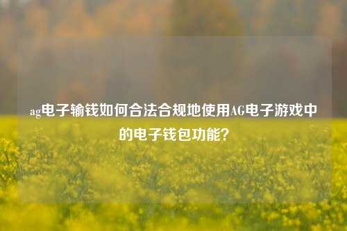 ag电子输钱如何合法合规地使用AG电子游戏中的电子钱包功能？