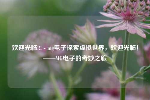 欢迎光临!!! - mg电子探索虚拟世界，欢迎光临！——MG电子的奇妙之旅