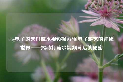 mg电子游艺打流水视频探索MG电子游艺的神秘世界——揭秘打流水视频背后的秘密
