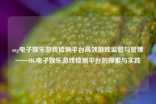mg电子娱乐游戏检测平台高效游戏监管与管理——MG电子娱乐游戏检测平台的探索与实践