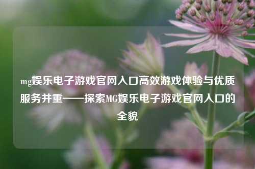 mg娱乐电子游戏官网入口高效游戏体验与优质服务并重——探索MG娱乐电子游戏官网入口的全貌