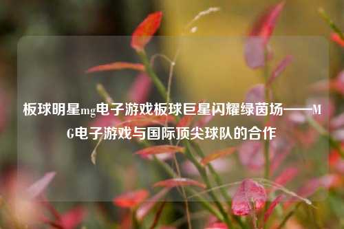 板球明星mg电子游戏板球巨星闪耀绿茵场——MG电子游戏与国际顶尖球队的合作