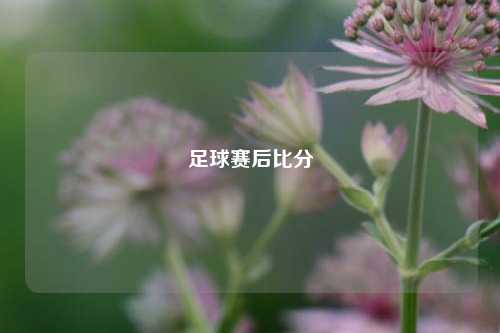 足球赛后比分