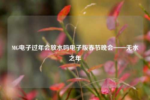 MG电子过年会放水吗电子版春节晚会——无水之年