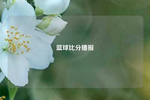 篮球比分播报