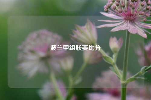 波兰甲组联赛比分