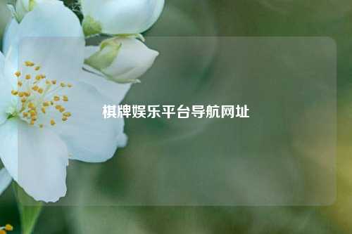 棋牌娱乐平台导航网址