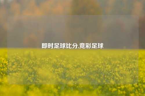 即时足球比分,竞彩足球