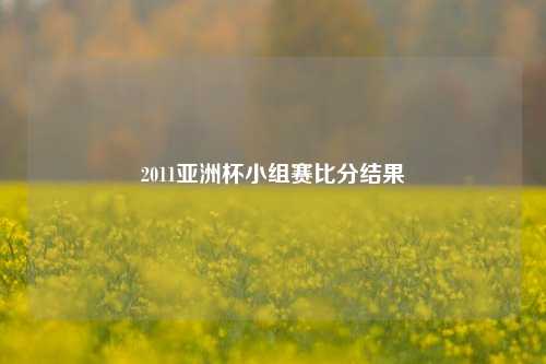2011亚洲杯小组赛比分结果