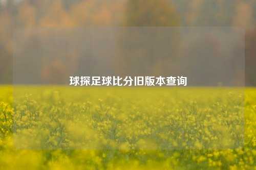 球探足球比分旧版本查询
