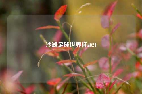 沙滩足球世界杯2021
