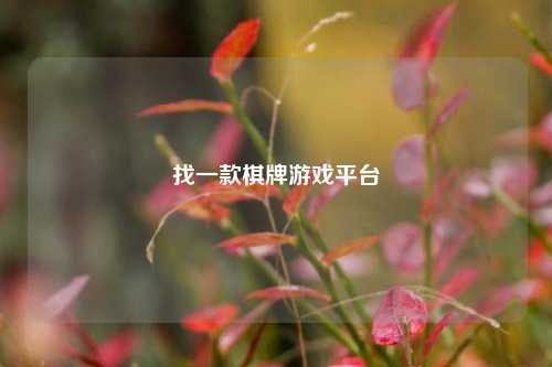 找一款棋牌游戏平台