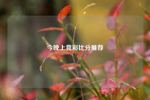 今晚上竞彩比分推荐