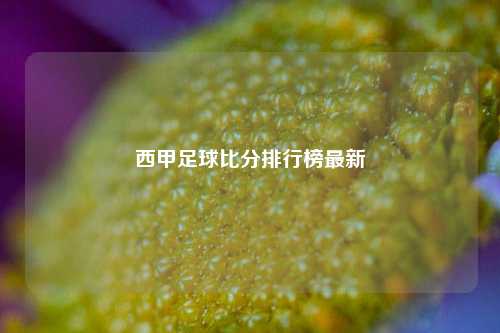 西甲足球比分排行榜最新
