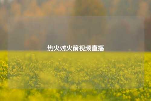 热火对火箭视频直播