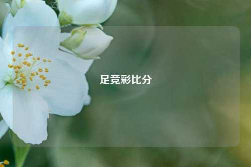 足竞彩比分