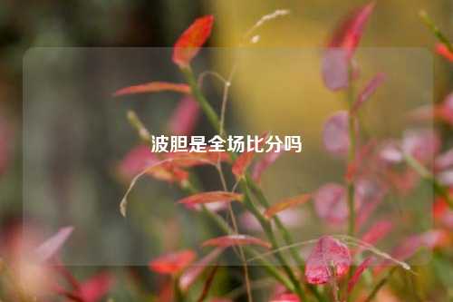 波胆是全场比分吗
