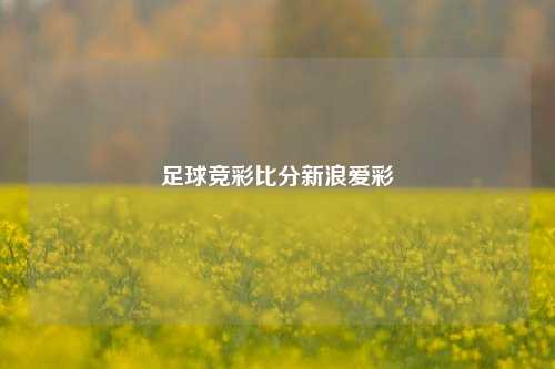 足球竞彩比分新浪爱彩