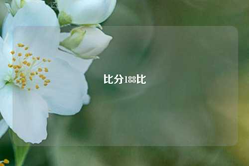 比分188比