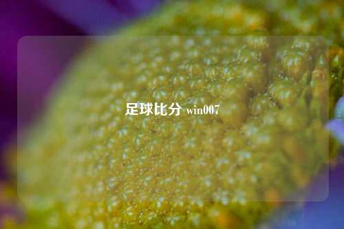 足球比分 win007
