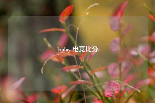1zplay 电竞比分