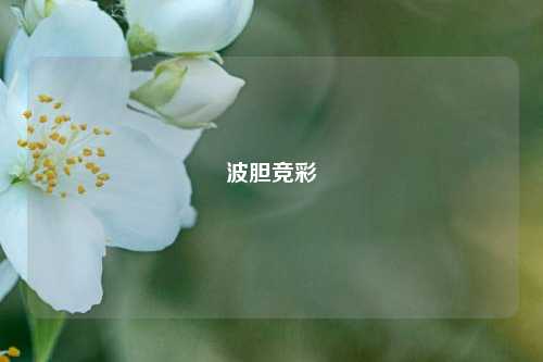波胆竞彩