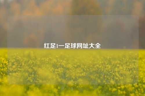 红足1一足球网址大全
