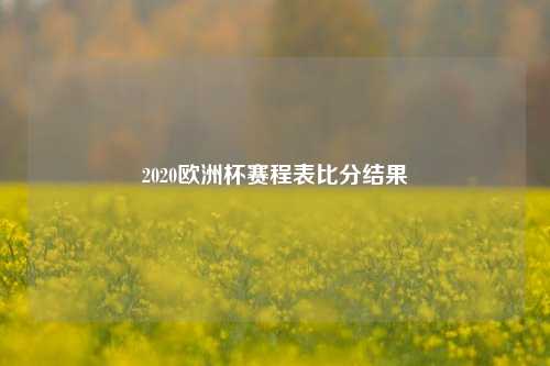 2020欧洲杯赛程表比分结果