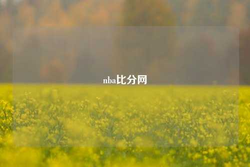 nba比分网