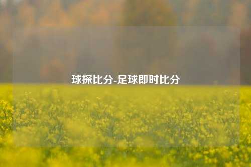 球探比分-足球即时比分