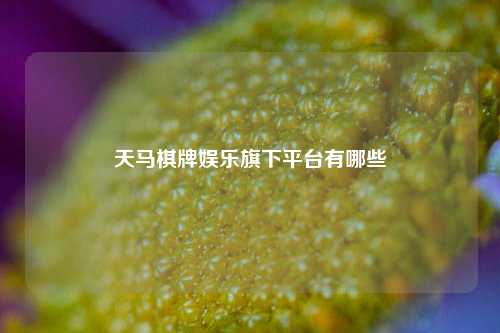 天马棋牌娱乐旗下平台有哪些