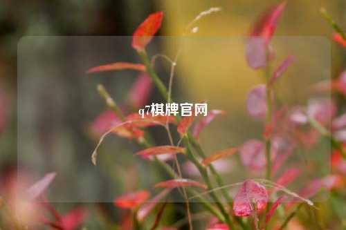 q7棋牌官网
