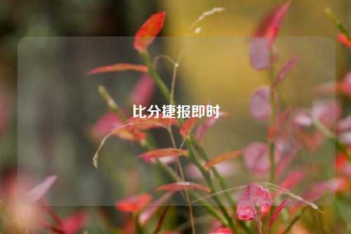 比分捷报即时