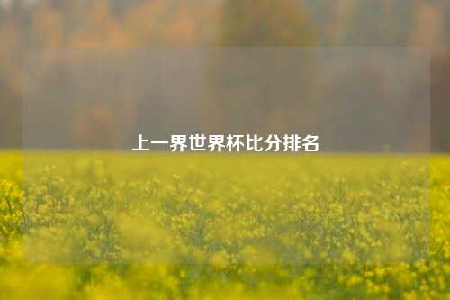 上一界世界杯比分排名