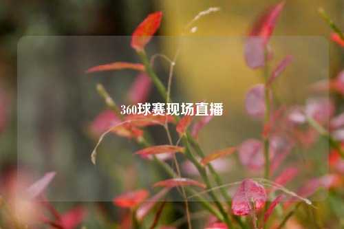 360球赛现场直播