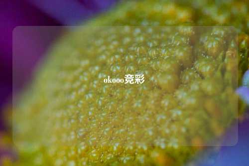 okooo竞彩