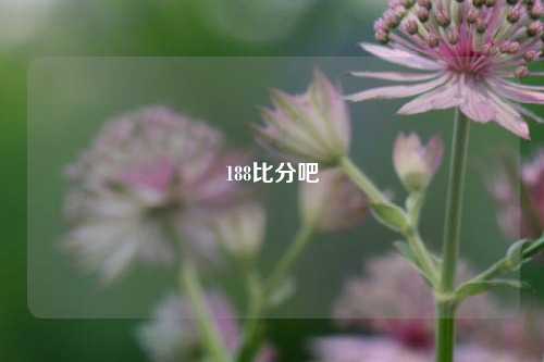 188比分吧